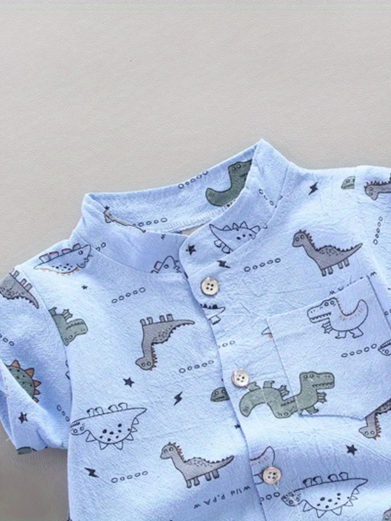 Kids Dinosaur Print T-Shirt & Shorts Set